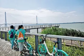 青桔单车高峰期免费骑12天！网友算账：省了快半年的骑车费图片