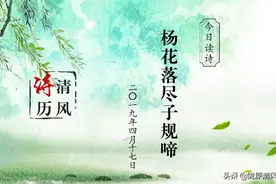 【清风诗历】今日读诗：杨花落尽子规啼图片