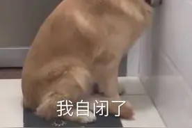 【表情包】快快出来冒泡！！铁汁们图片