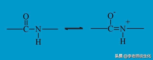 肽键的性质和肽的功能