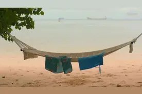 今年除了爆红泰剧主题曲，这首外国人唱中文歌也很上头啊图片