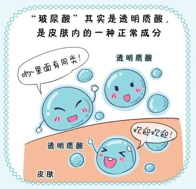 鐜诲翱閰革紝閫忔槑璐ㄩ吀锛岀幓鐠冮吀