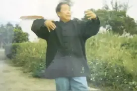 大成拳技击1——先发制人图片