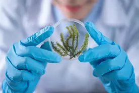 点赞！井研“最美”医务工作者图片