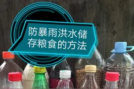 预防暴雨洪水储存粮食的方法图片