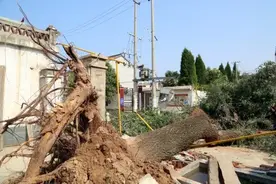 大风+降雨，突发险情！国网武陟县供电公司出动近百名人员干了件大事图片