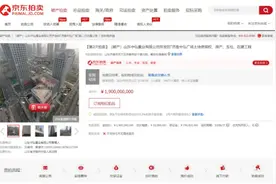 19亿元成交！京东618“最贵”拍品被成功“捡漏”图片