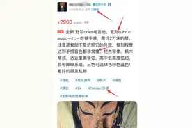 忽如一夜阴风来 假琴山寨遍地开！——抵制假琴，人人有责图片