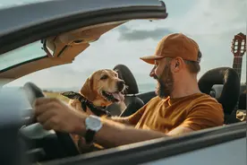 开车带狗子出去玩 可别让它变成你“甜蜜的负担”图片