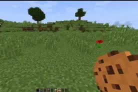 我的世界：这几款性价比高的食物，萌新和老玩家都适用图片