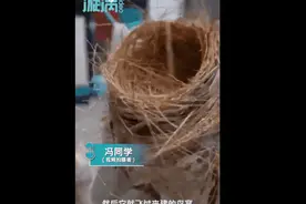 广州一大学生返校后惊奇发现，宿舍有窝……网友：保护现场图片