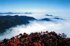 浙闽边陲有座美丽山城，竟然以宁宗年号“庆元”称名图片