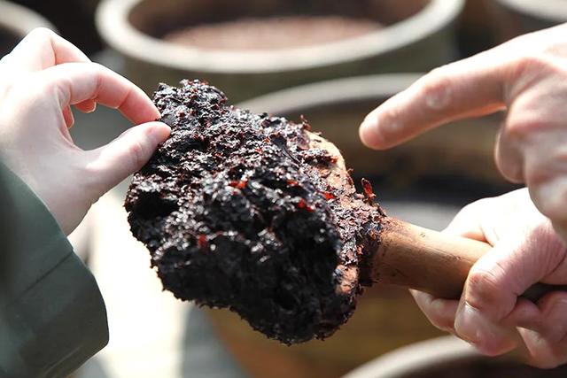 中国12大名酱，哪一款是你心目中的下饭酱王？