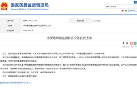 自主研发！可实时监测葡萄糖，国内首款14天免指血校准CGM获批图片