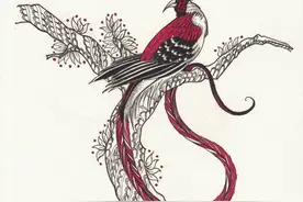 68.《山海经》鸰鴁这么招摇的一只鸟，在群鸟聚会中一定很醒目图片