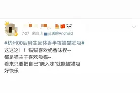一男子因为“体香”，深夜被自家猫吸了4个小时，笑yue了图片