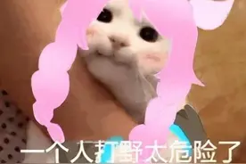 峡谷瑶妹绝配英雄，与梦奇结合盾盾流，还是澜越塔最好搭档图片