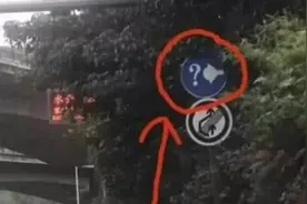 高速上出现新标志：“灯泡加问号”让司机头晕，走错将会扣3分图片