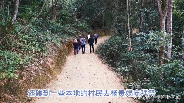 杨贵妃是不是广西容县人？山西陕西四川河南表示不服， 去探查