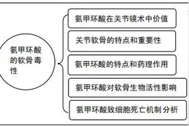 氨甲环酸对软骨毒性的研究进展图片