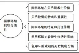 氨甲环酸对软骨毒性的研究进展图片