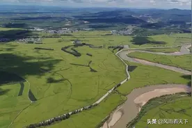 甘甜软香的五常大米，你买对了吗？图片