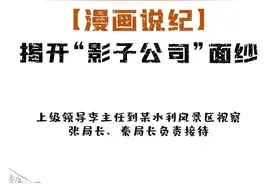 一鱼两吃？天衣无缝？揭开“影子公司”面纱图片
