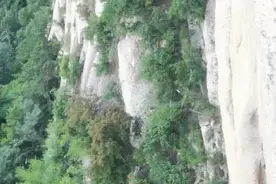 东北男子华山跳崖轻生，跳到一半后悔了…图片