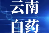 云南白药，牙膏之后再做“美肤”图片