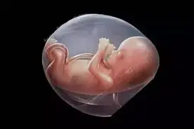 孕妇分娩时胎儿在做什么？看完真相暖哭宝妈，母子齐心“到人间”图片