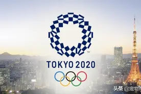奥运会终于来了，背后却有无数心酸，幸好有这些毛孩子治愈图片