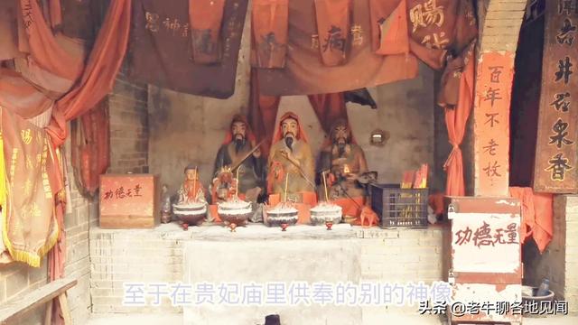 杨贵妃是不是广西容县人？山西陕西四川河南表示不服， 去探查