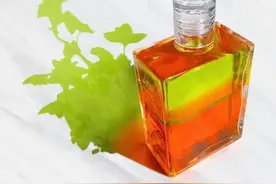 柠檬绿色/橘色：普鲁顿的诞生——财富之神图片