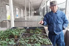 川崎广人：我在中国当农民图片