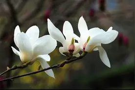 明明不爱了、却喜欢拖着不说分手的星座图片