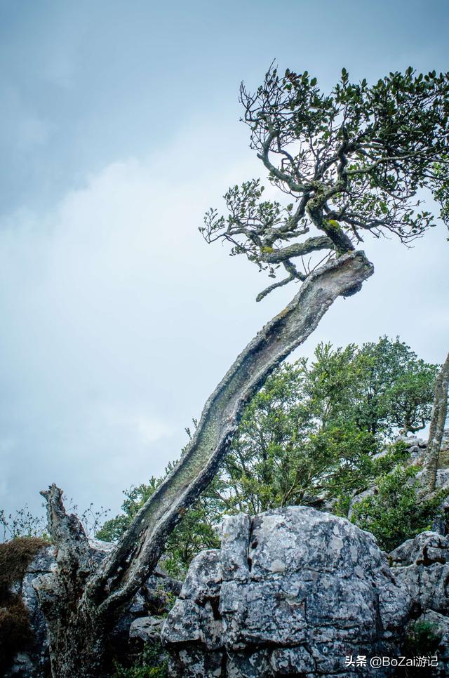 到云南曲靖旅游必去的17大景点，你去游玩过几个？最爱哪个景点