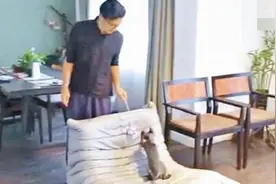 谢霆锋豪宅曝光陪爱猫玩耍不见王菲 曾加节目弥补多年心中遗憾图片