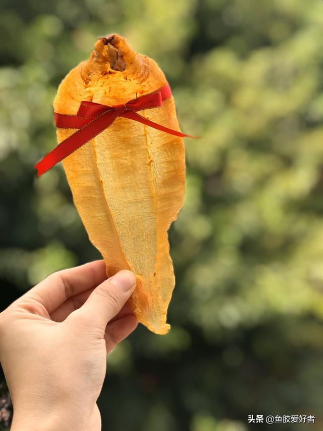 土鳘公和土鳘母有什么区别 土鳘公是野生的吗 土鳘公和土鳘母有什么区别 土鳘公是野生的吗