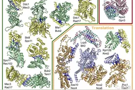 AlphaFold和RoseTTAFold双剑合璧，北大校友领衔登上Science图片