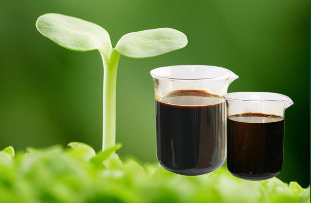 为什么越来越多的人喜欢用氨基酸水溶肥？它有什么作用？