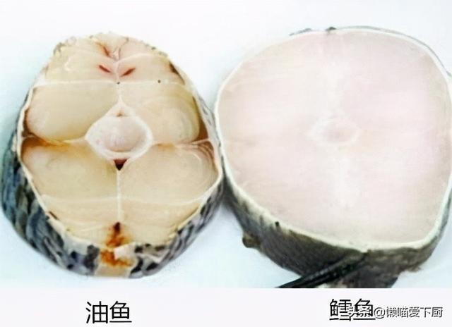 深海鳕鱼是什么鱼 2026年深海鳕鱼是什么鱼做的