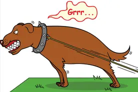 狗狗对着空无一人的地方“汪汪叫”，是因为什么？图片