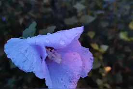 小幸运的一天图片