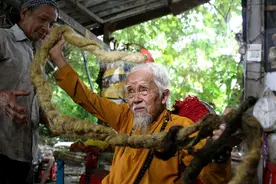 “剪头发就会死”！越南9旬大爷80年来未剪头发，发长近5米图片