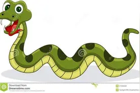 在农村的乡间小路上，遇到蛇过路应该怎么办？打还是不打图片