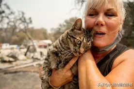 女子光顾着逃命却忘记爱猫，家已被烧成废墟，猫咪躲在下水道保命图片