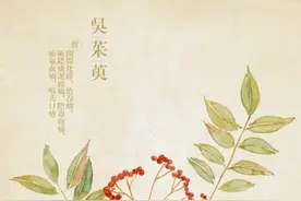 每日一中药——吴茱萸图片