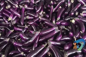 【走向我们的小康生活】平塘六硐坝区：茄子丰收 亩产超过3万元图片