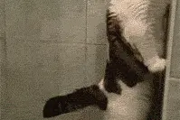 日本奇葩厕所，厕所“全透明”？图片