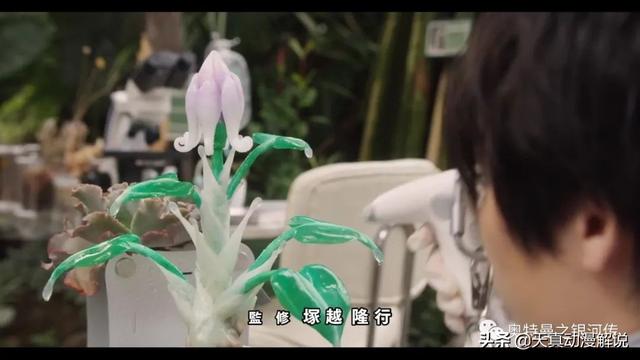 特利迦奥特曼01集｜光的继承者